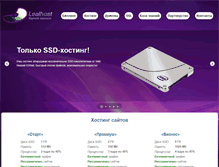 Tablet Screenshot of lealhost.com